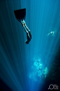 Christina freediving with a monofin. Photo: One Ocean One Breath